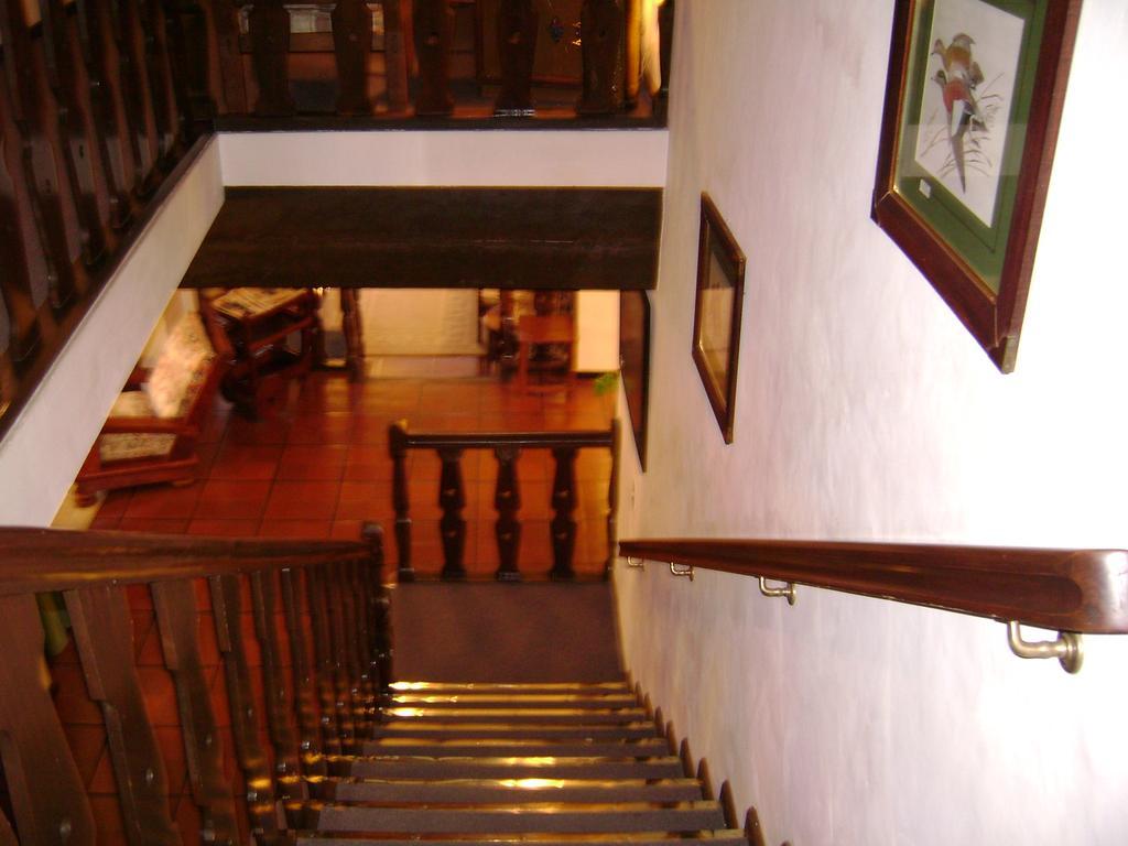 Hosteria La Masia San Martín de los Andes Eksteriør billede